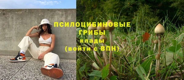 мдпв Покачи