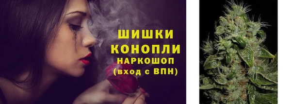 мдпв Покачи