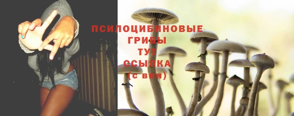 мдпв Покачи