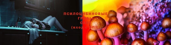 стаф Сафоново