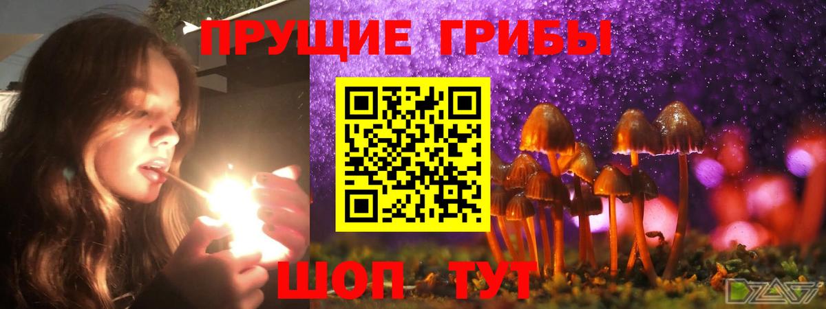 Балашов  Галлюциногенные грибы мицелий  Вход с VPN  Галлюциногенные грибы мухоморы 