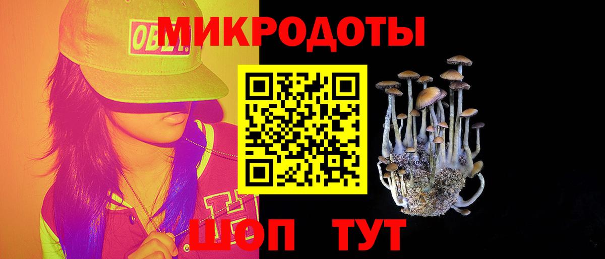 Псилоцибиновые грибы Psilocybine cubensis Балашов