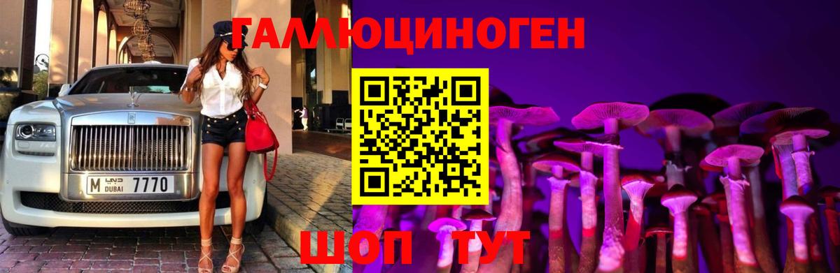 Псилоцибиновые грибы мухоморы Балашов