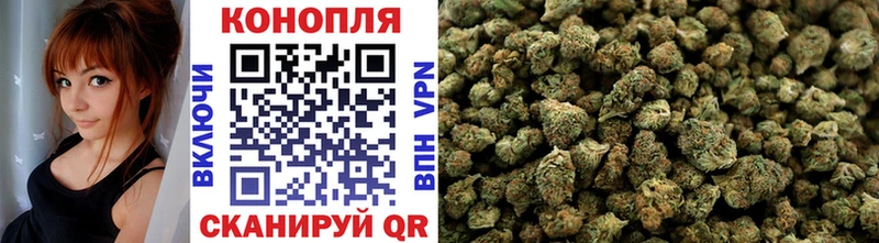 Конопля план Балашов